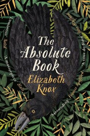 Cover of The Absolute Book