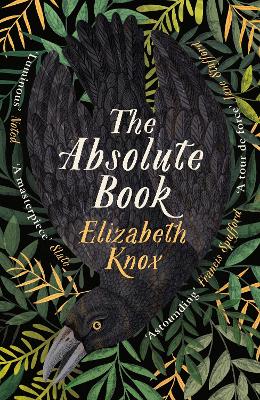 Book cover for The Absolute Book
