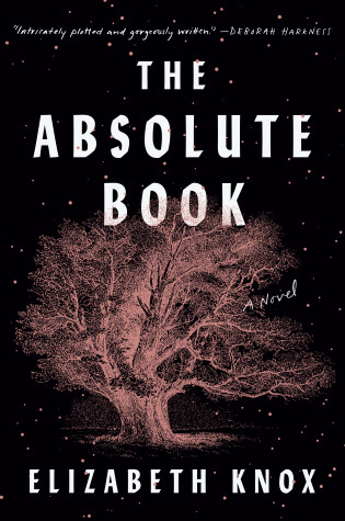 Book cover for The Absolute Book