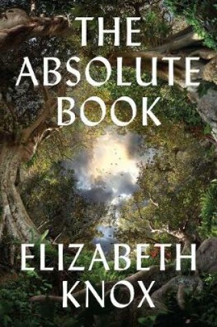 Cover of The Absolute Book