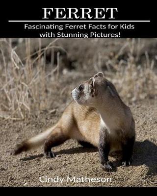 Book cover for Ferret