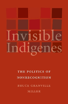 Book cover for Invisible Indigenes