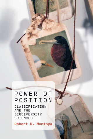 Book cover for Power of Position