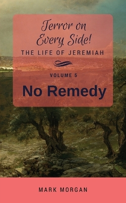 Cover of No Remedy