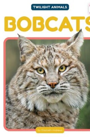 Cover of Bobcats