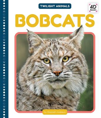 Book cover for Bobcats