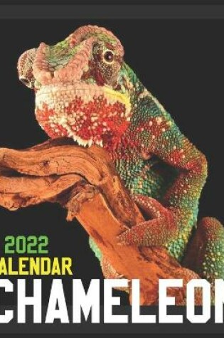 Cover of Chameleon Calendar 2022