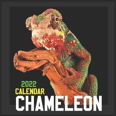 Book cover for Chameleon Calendar 2022