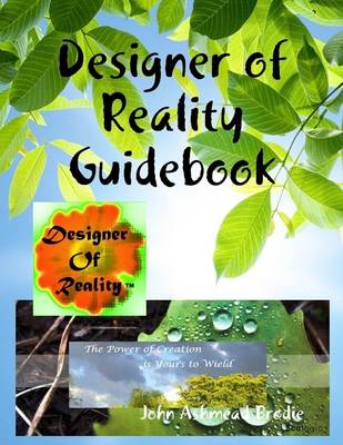 Book cover for Designer of Reality Guidebook