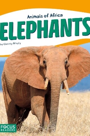 Cover of Elephants