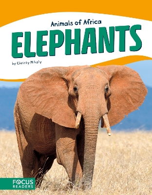 Book cover for Elephants