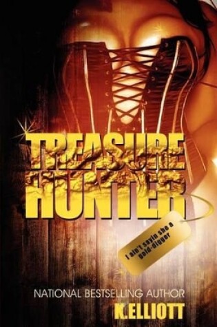 Cover of Treasure Hunter