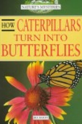 Cover of How Caterpillars Turn Into Butterflies