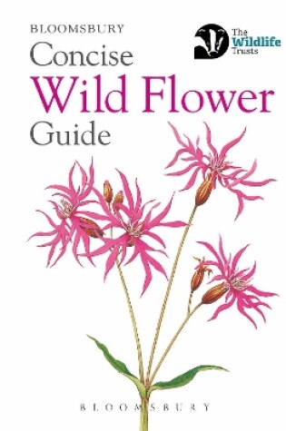 Cover of Concise Wild Flower Guide