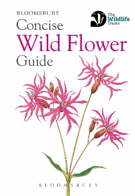 Book cover for Concise Wild Flower Guide