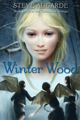 Cover of Winter Wood: Book 3 in the Touchstone Trilogy