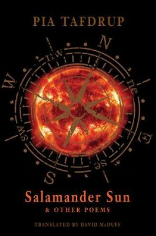 Cover of Salamander Sun and Other Poems