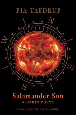 Book cover for Salamander Sun and Other Poems