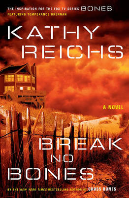 Book cover for Break No Bones