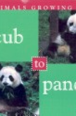 Cover of Cub to Panda