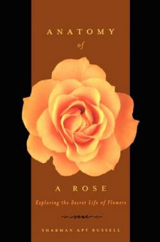 Cover of Anatomy Of A Rose