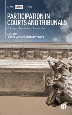 Book cover for Participation in Courts and Tribunals