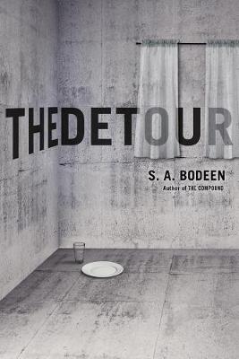 Book cover for The Detour