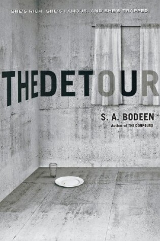 Cover of The Detour