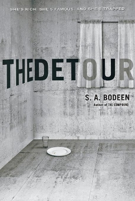 Book cover for The Detour