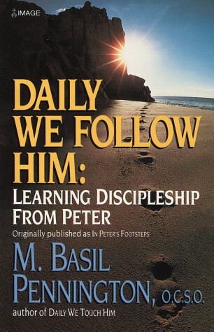 Cover of Daily We Follow Him