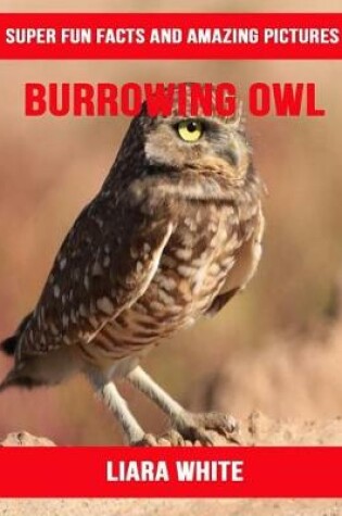 Cover of Burrowing Owl