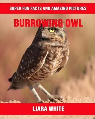 Book cover for Burrowing Owl