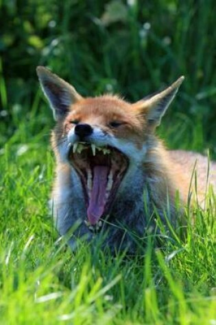 Cover of Mind Blowing Fox Yawning Journal