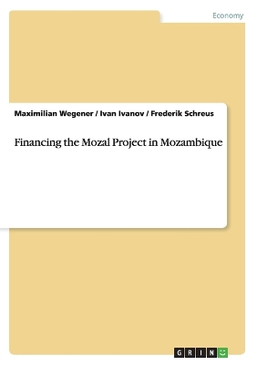 Book cover for Financing the Mozal Project in Mozambique