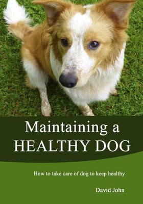 Book cover for Maintaining a Healthy Dog