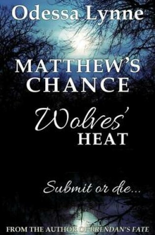 Cover of Matthew's Chance