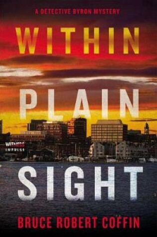 Cover of Within Plain Sight