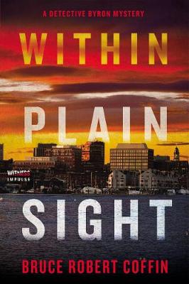 Cover of Within Plain Sight