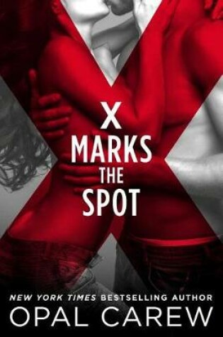 Cover of X Marks the Spot