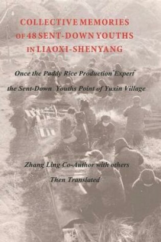 Cover of COLLECTIVE MEMORIES OF 48 SENT-DOWN YOUTHS IN LIAOXI-SHENYANG Once the Paddy Rice Production "Expert" the Sent-Down Youths Point of Yuxin Village