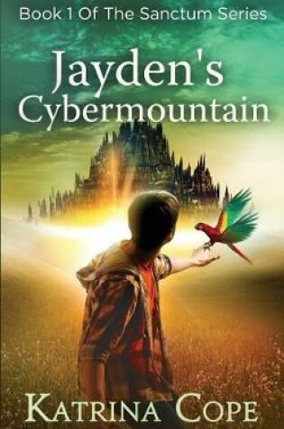 Cover of Jayden's Cybermountain