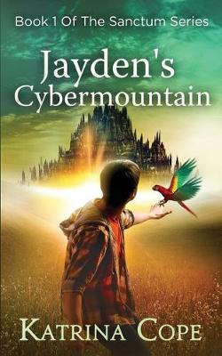Book cover for Jayden's Cybermountain