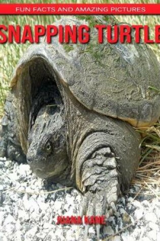 Cover of Snapping Turtle
