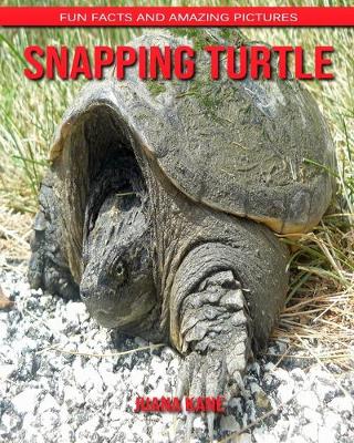 Book cover for Snapping Turtle