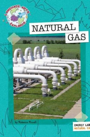 Cover of Natural Gas