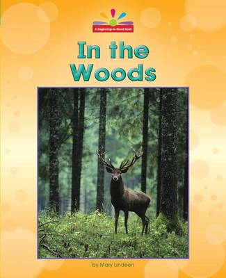 Book cover for In the Woods