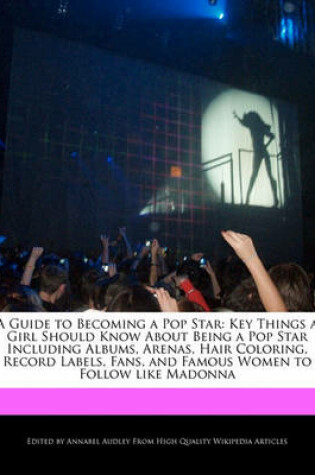 Cover of A Guide to Becoming a Pop Star