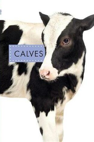 Cover of Calves