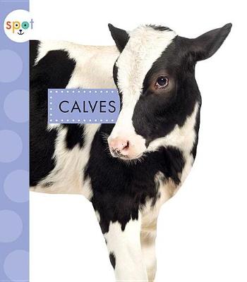 Book cover for Calves