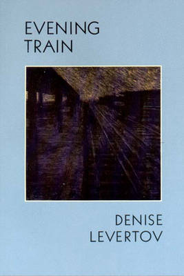 Book cover for Evening Train